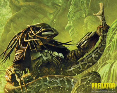 wallpaper predator. Predator: South China Sea