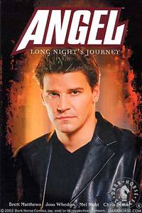 Cover image for Angel: Long Night's Journey TPB