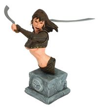 Cover image for Conan Bust: Janissa the Widowmaker