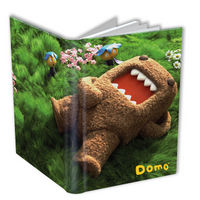 Cover image for Domo Photo Journal