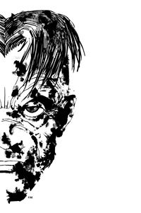 Cover image for Frank Miller's Sin City Volume 3: The Big Fat Kill 3rd Edition tpb