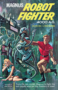 Cover image for Magnus, Robot Fighter