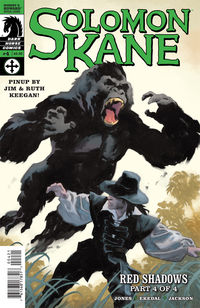 Cover image for Solomon Kane: Red Shadows #4 (Gregory Manchess Variant cover)