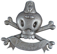 Cover image for Gary Baseman: Skull and Crossbones Pin
