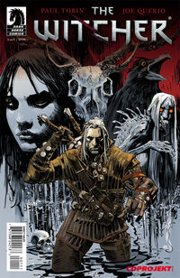 Cover image for The Witcher #1