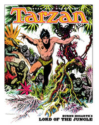 Cover image for Tarzan: Burne Hogarth's Lord of the Jungle HC