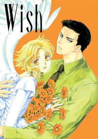 Cover image for Wish TPB