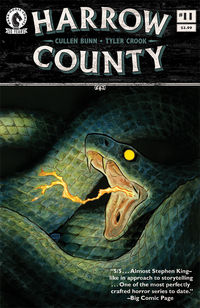Cover image for Harrow County #11