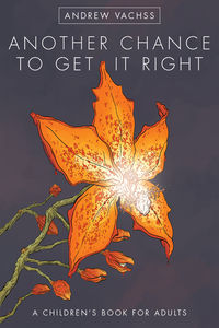Cover image for Another Chance to Get It Right Fourth Edition HC