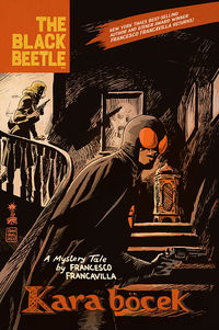 Cover image for The Black Beetle: Kara Bocek HC
