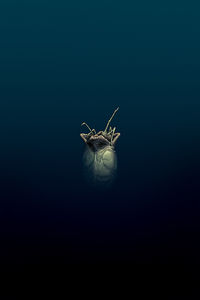 Cover image for William Gibson's Alien 3 #1