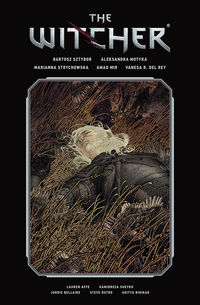 Cover image for The Witcher Library Edition Volume 2 HC
