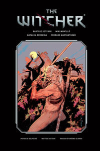 Cover image for The Witcher Library Edition Volume 3 HC