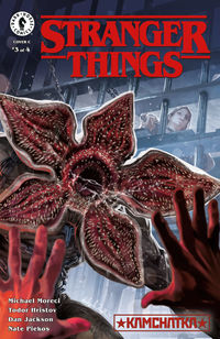 Cover image for Stranger Things: Kamchatka #3 (Ashley Witter Variant Cover)