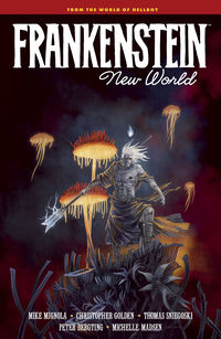 Cover image for Frankenstein: New World HC