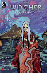 Cover image for The Witcher: The Ballad of Two Wolves #3 (Jakub Rebelka Variant Cover)