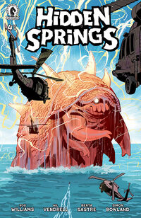 Cover image for Hidden Springs #4