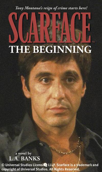 Cover for Scarface Vol. 1: The Beginning (Novel) (10-738)