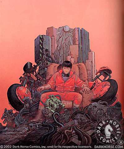 Cover for Akira Portfolio (11-969)
