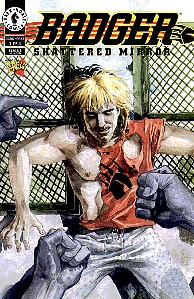 Cover for Badger: Shattered Mirror #1 (of 4) (93-402)