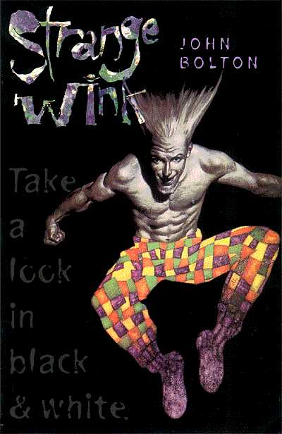 Cover for John Bolton's Strange Wink #2 (of 3) (96-820)