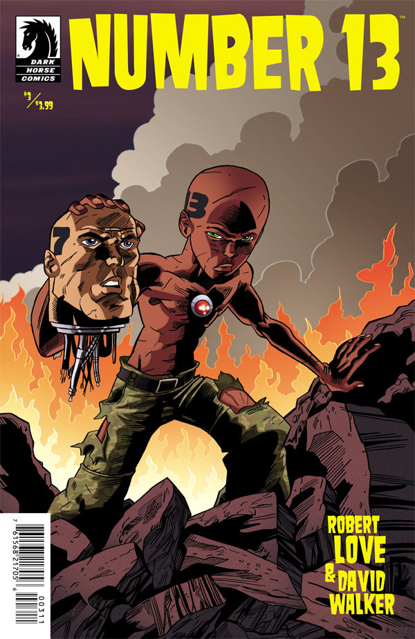 Cover for Number 13 #3 (17-952)