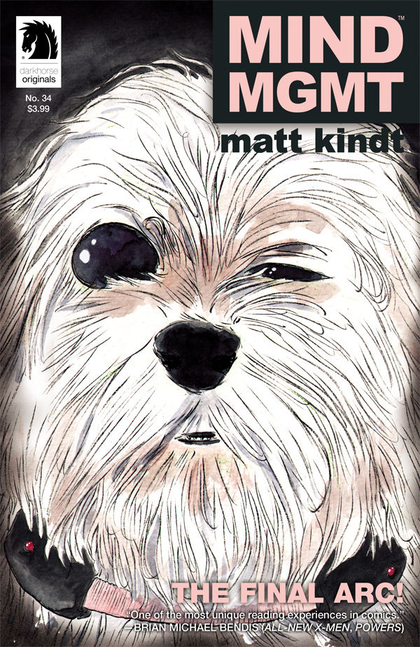 Cover for MIND MGMT #34 (25-900)