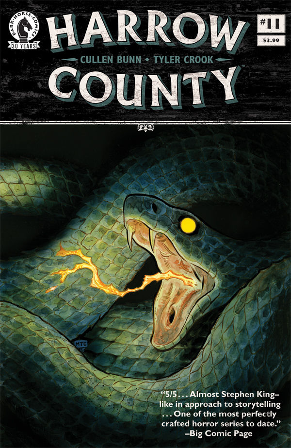Cover for Harrow County #11 (29-650)