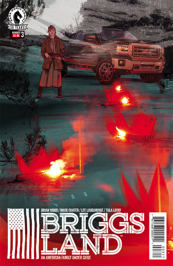 Cover for Briggs Land #3 (29-948)