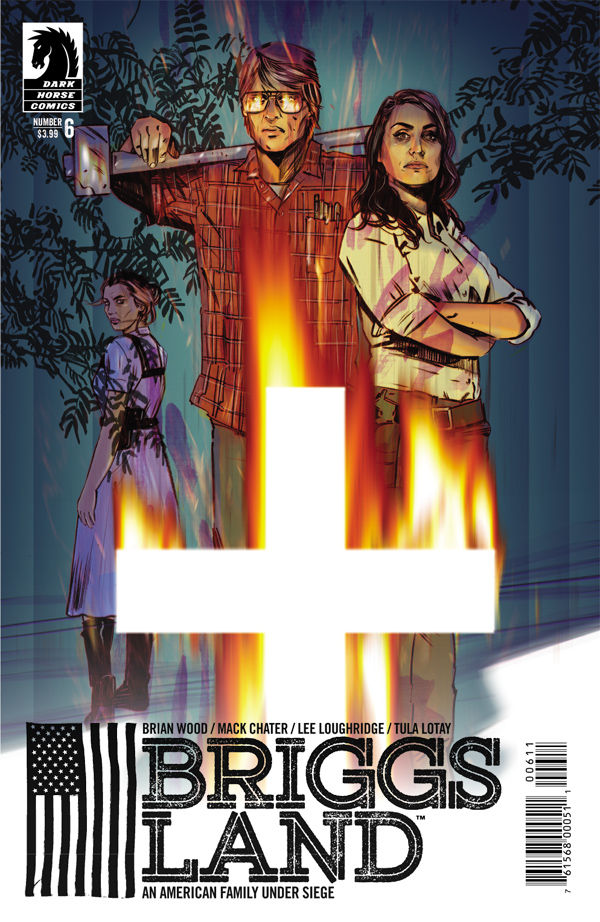 Cover for Briggs Land #6 (29-951)