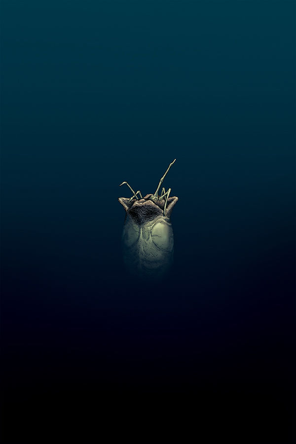 Cover for William Gibson's Alien 3 #1 (3002-524)