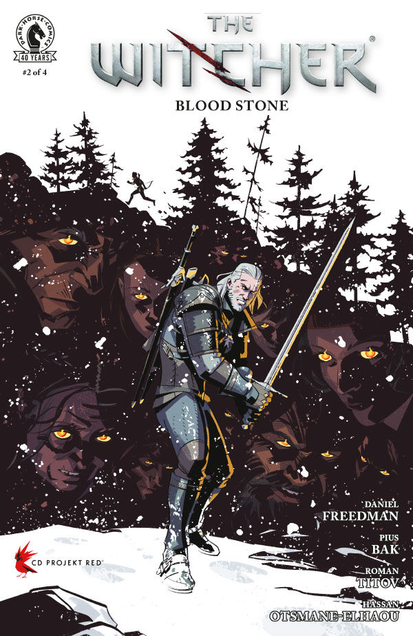 Cover for The Witcher: Blood Stone #2 (3008-937)