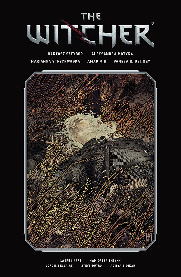 Cover for The Witcher Library Edition Volume 2 HC (3008-951)