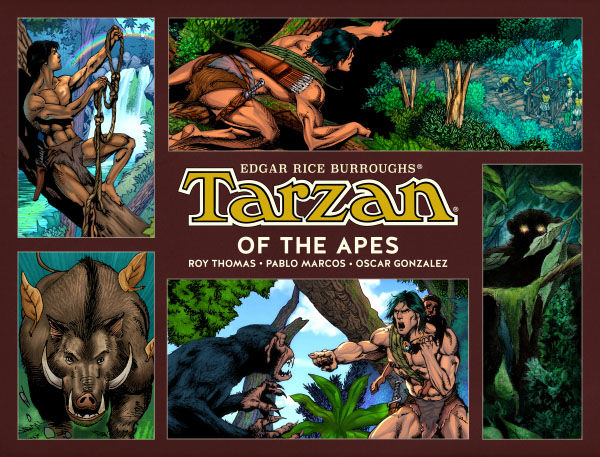 Cover for Tarzan of the Apes HC (3009-207)