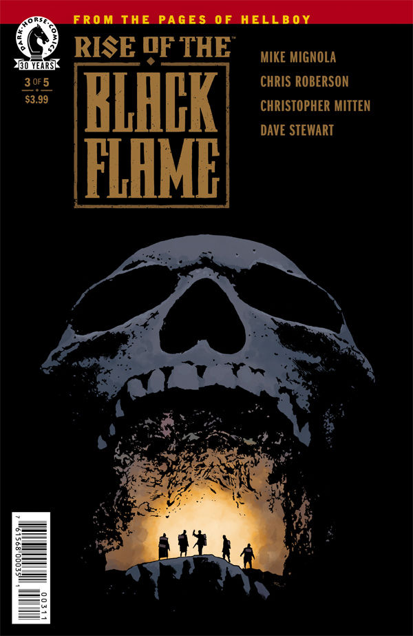 Cover for Rise of the Black Flame #3 (30-099)