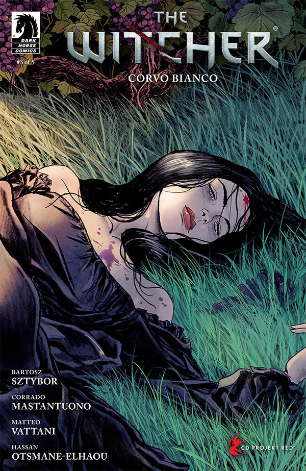 Cover for The Witcher: Corvo Bianco #3 (Neyef Variant Cover) (3013-059)