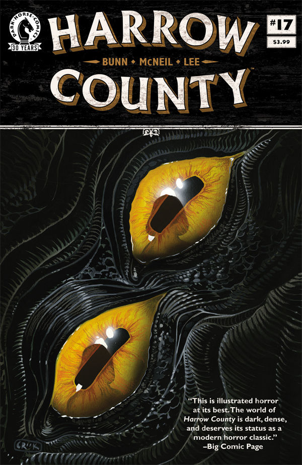 Cover for Harrow County #17 (30-886)