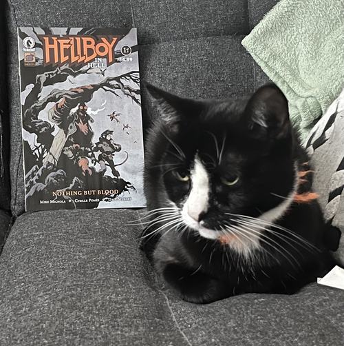 Hellboy in Hell: Nothing But Blood for Spooky Staff Picks